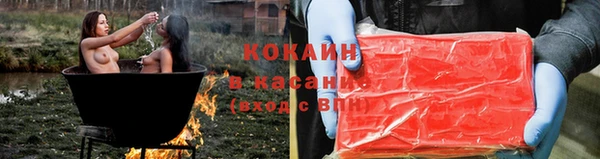 крисы Алексин