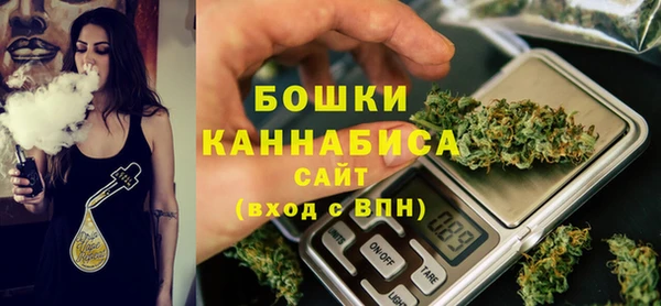 стаф Дмитриев