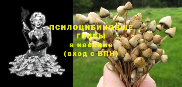 крисы Алексин