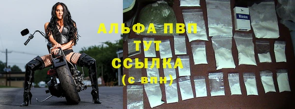 крисы Алексин